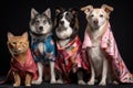 series of photos showcasing variety of feline and canine fashion designs and models for different styles