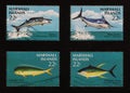 Four species of big fish on a series of stamps