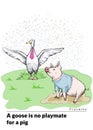 A series of postcards with a piglet. Proverbs and sayings. A goose is no playmate for a pig Royalty Free Stock Photo