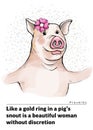 A series of postcards with a piglet. Proverbs and sayings. Like a gold ring in a pig s snout is a beautiful woman without discreti
