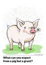 A series of postcards with a piglet. Proverbs and sayings. What can you expect from a pig but a grunt