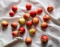 A series of tiny, freshly washed apples scattered on a white linen cloth, reflecting simplicity and naturality Royalty Free Stock Photo