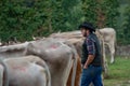 Livestock Fair, the largest cattle show in the Bergamo valleys