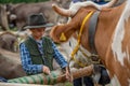 Livestock Fair, the largest cattle show in the Bergamo valleys