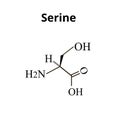 Serine amino acid. Chemical molecular formula Serine amino acid. Vector illustration on isolated background