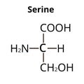 Serine amino acid. Chemical molecular formula Serine amino acid. Vector illustration on isolated background