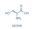 Serine l-serine, Ser, S amino acid molecule. Skeletal formula. Royalty Free Stock Photo