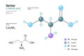 Serine. Ser C3H7NO3. ÃÂ±-Amino Acid. Structural Chemical Formula and Molecule 3d Model. Atoms with Color Coding. Vector Royalty Free Stock Photo