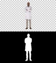 Serious arabian doctor mature male with crossed arms, Alpha Channel Royalty Free Stock Photo