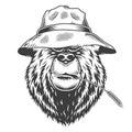 Serious bear head wearing panama hat