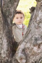 Serious boy behind tree Royalty Free Stock Photo