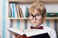 Serious boy in the bow tie Royalty Free Stock Photo