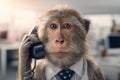 Serious business monkey on phone in modern office Royalty Free Stock Photo