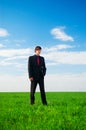 Serious businessman standing at the grass Royalty Free Stock Photo