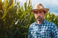 Serious corn farmer portrait in cultivated field looking at camera