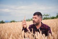 Serious farmer man concentrated examining the wheat crop. Agricultural rural worker looking the harvest. Cowboy checking Royalty Free Stock Photo