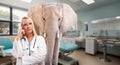 Serious Female Blonde Doctor in a Hospital with an Elephant in the Room