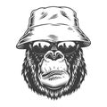 Serious gorilla in monochrome style Royalty Free Stock Photo