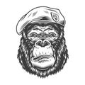 Serious gorilla in monochrome style