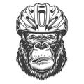 Serious gorilla in monochrome style Royalty Free Stock Photo