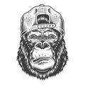 Serious gorilla in monochrome style Royalty Free Stock Photo