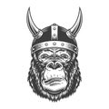 Serious gorilla in monochrome style Royalty Free Stock Photo