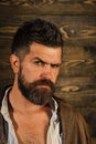 Serious hipster in barbershop, look. Man with beard and mustache on wooden background. Barber and hairdresser salon Royalty Free Stock Photo