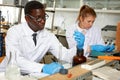 Serious man lab scientist in glasses working with reagents and test tubes Royalty Free Stock Photo