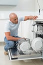 Serious man using dish washer in kitchen Royalty Free Stock Photo