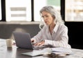 Serious Mature Businesswoman Using Laptop Engaging In Office Work Indoor Royalty Free Stock Photo