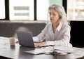 Serious Mature Businesswoman Using Laptop Typing In Modern Office Royalty Free Stock Photo