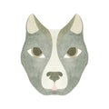 The serious muzzle of a dog or wolf in gray tones. Watercolor illustration highlighted on a white background. A set Royalty Free Stock Photo