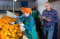 Serious owner of fruit warehouse checking work of female employees engaged in tangerines sorting