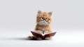 Serious little cat with glasses reading book