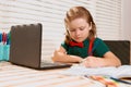 Serious school boy concentrated on drawing when sitting near laptop at home. Royalty Free Stock Photo