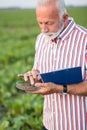Senior agronomist or farmer examining soil samples in a field