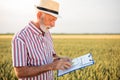 Senior farmer or agronomist examining wheat beads and filling out questionnaire