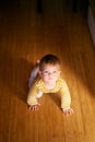 Serious toddler crawls on the wooden floor in the room. View from above Royalty Free Stock Photo