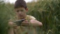 Serious tortured boy is playing in the phone on the wheat field