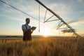 Serious young agronomist using tablet in wheat field at sunset Royalty Free Stock Photo