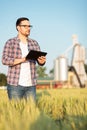 Serious young farmer or agronomist inspecting wheat plants in a field, working on a tablet