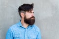 Seriousness itself. Bearded man. Mature hipster with beard. male facial care. male barber fashion care. brutal man with Royalty Free Stock Photo