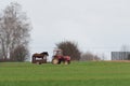 Serock, Poland - April 3, 2021: Horse on a trailer behind an old tractor on a country road against the background of spring green Royalty Free Stock Photo