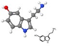 Serotonin