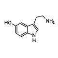 Serotonin chemical formula doodle icon, vector illustration