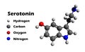 Serotonin 3D structure
