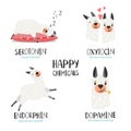 Serotonin, endorphin, dopamine, oxytocin. Hormone health icon. Hormones colorful vector illustration with alpaca