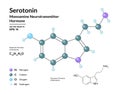Serotonin. Hormone of Happiness. Monoamine Neurotransmitter. Structural Chemical Molecular Formula and 3d Model