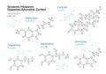 Serotonin, Melatonin, Dopamine, Adrenaline, Cortisol. Hormones. Structural Chemical Formula and Molecule Model. Line Design.