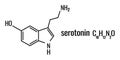 Serotonin molecule, chemical formula